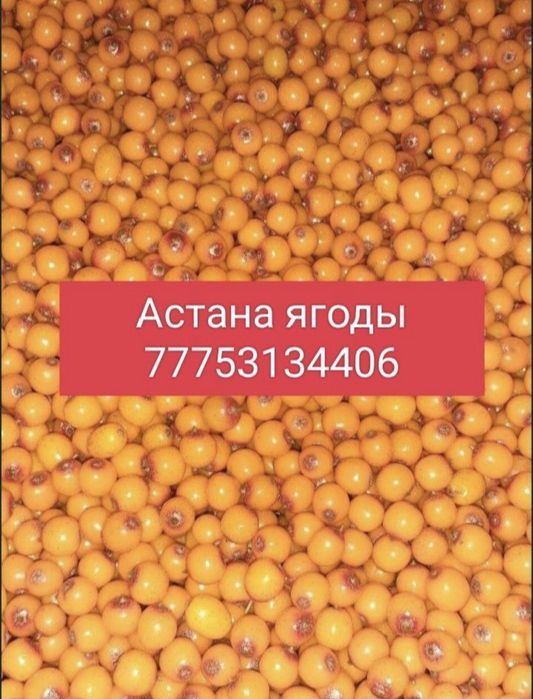 Ягоды облепиха жидектер