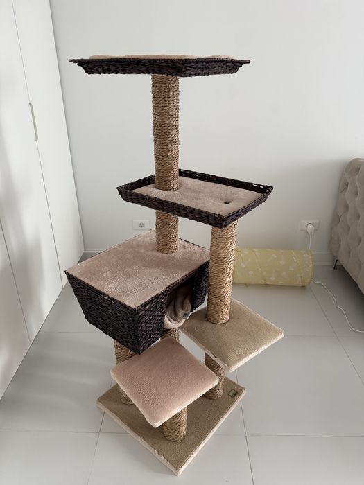 Ansamblu de joaca pisici!