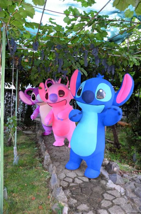 Изненада с Панда, розов, лилав и син Стич, Бяло Мече, рожден ден.