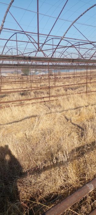 Теплица 50 соток  продается с домом