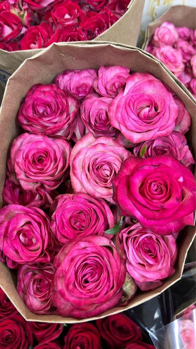 Пионы по оптовой цене