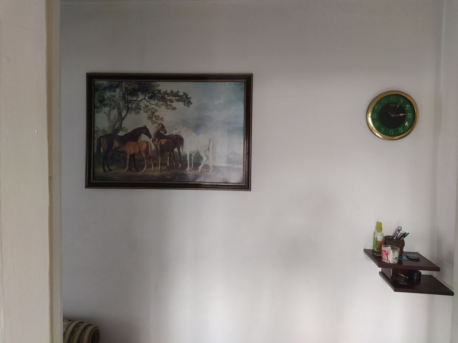 Продам две картины, принт на холсте