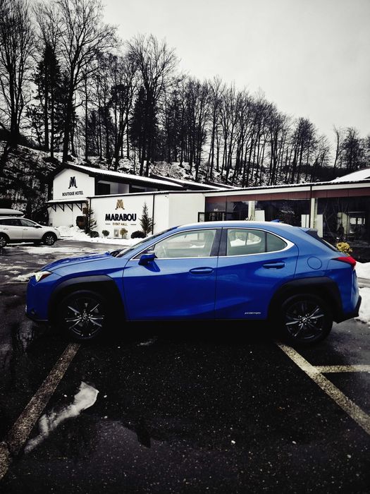 Lexus UX 250h Hybrid, Istoric reprezentanța, Proprietar