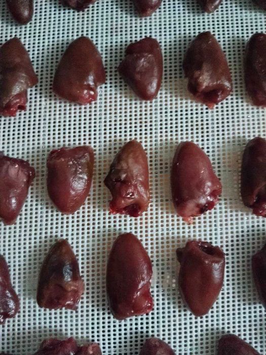 Лакомства для кошек и собак