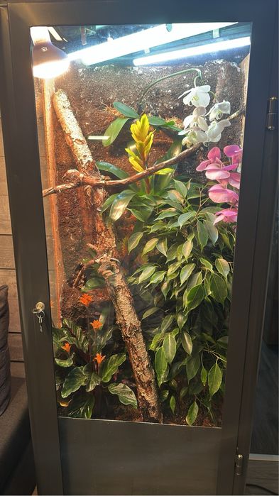 Терариум 60/60/150