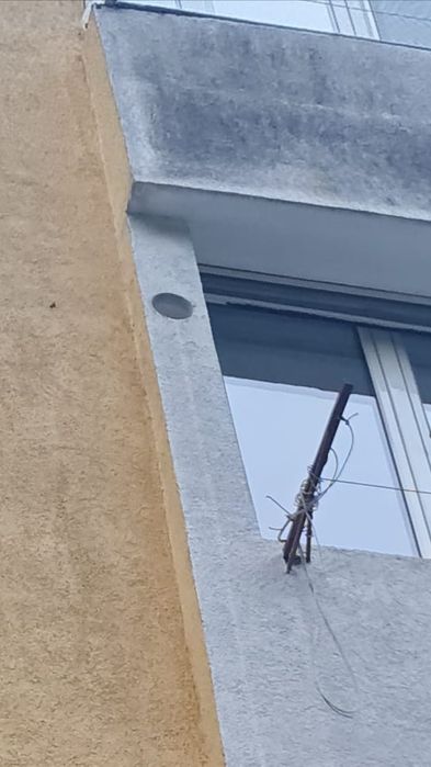 Gaura hota Resita și pe saletele din jur, Făget, Lugoj, Timișoara.