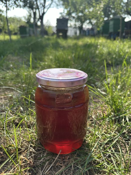 Miere rapiță/ albăstrele/ polifloră