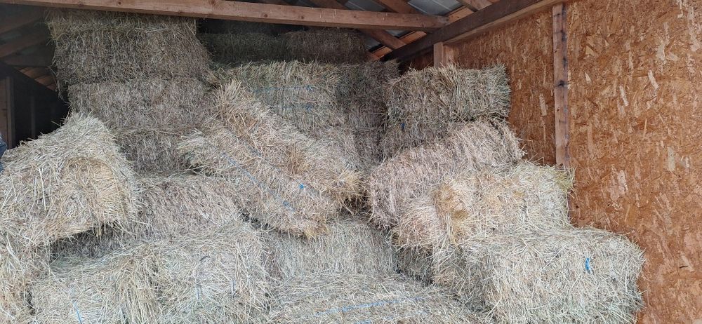 Baloti de lucerna coasele 2 si 3.