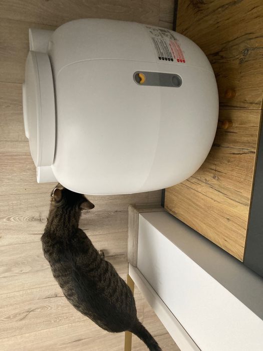 Litiera automata Shaw v1