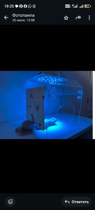 Фотолампы готовый бизнес