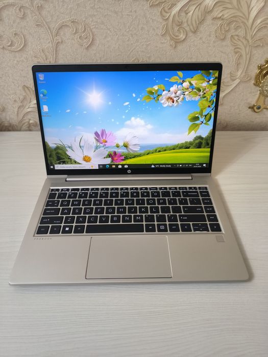 HP ProBook 445 G8