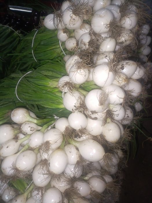Legume ceapa morcov cartofi ceapa de apa