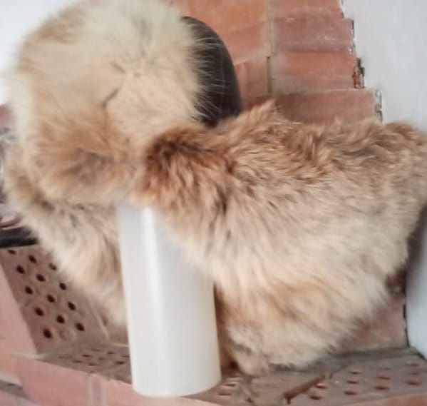 Малахай новый ,красивый