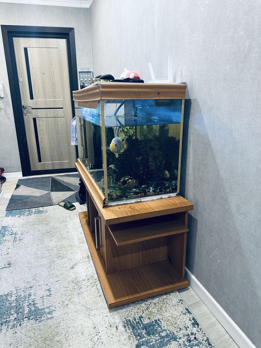 продаю аквариум 250литр