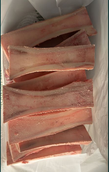 Жілік сүйек/Сахарная кость