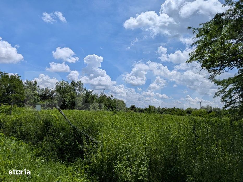 Teren extravilan, 12700 mp, oportunitate de investitie, zona Priseaca