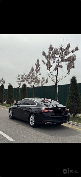 Malibu 2 premier idial xolata 2022 / 33 минг пробек