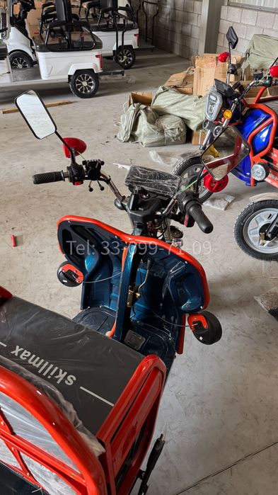 Электрогрузовик Трицикл муравей трудолюбивый 1000 Вт до 300кг