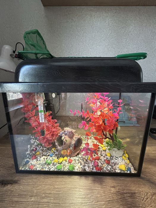 Аквариум 10 литров