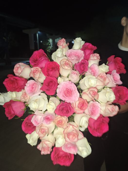 51шт Роза 12.04.26