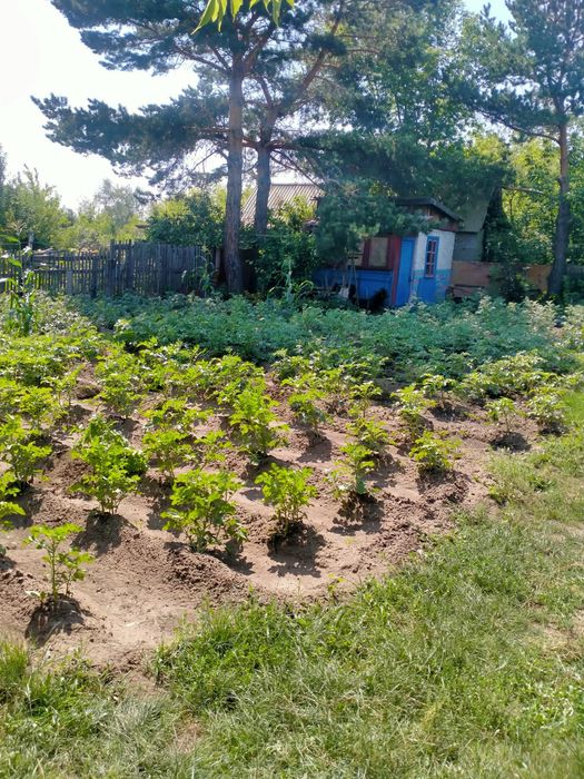 Продам дачу мелиаратор