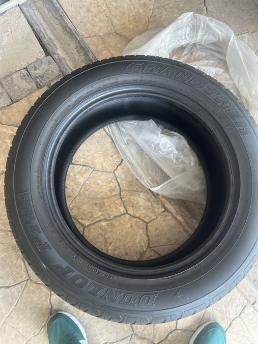 Шина Dunlop 20 размера