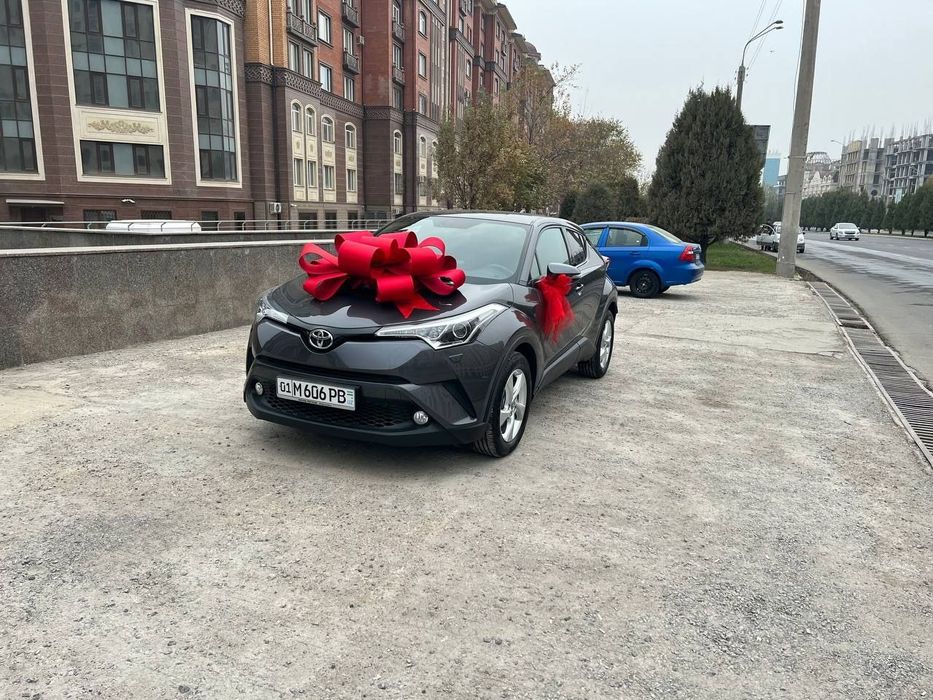 Бант на машину Ташкент