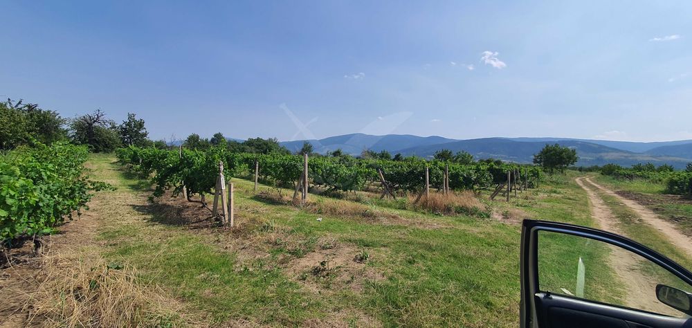 Продава се Парцел в с. Брестник, Област Пловдив - 4770 кв.м за 26 €/кв.м - Снимка #1