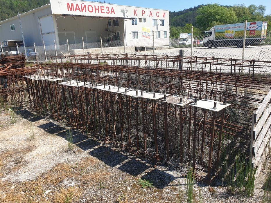 Хале еленски тип
