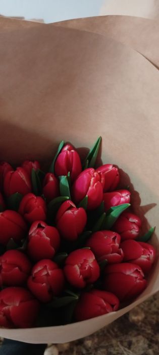 Тюльпаны оптом и розницу