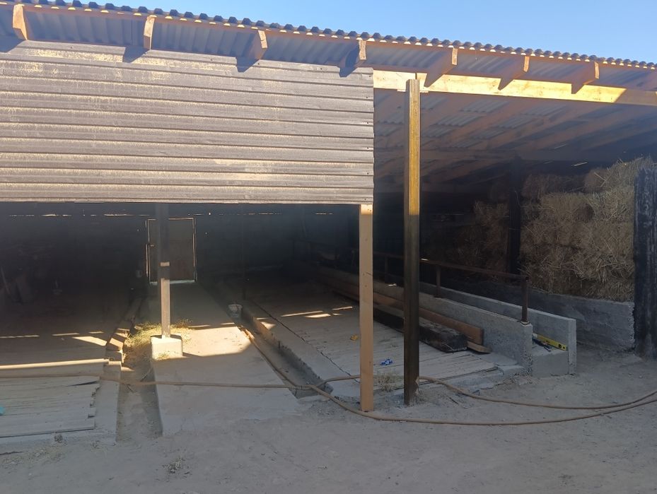 Ореке арты гор газ