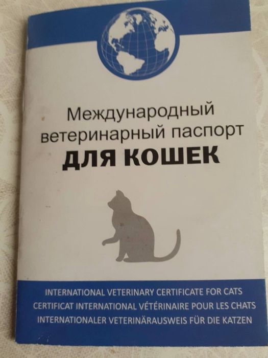 Кошечка бесплатно
