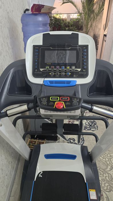 Begavoy darojka sport uchun