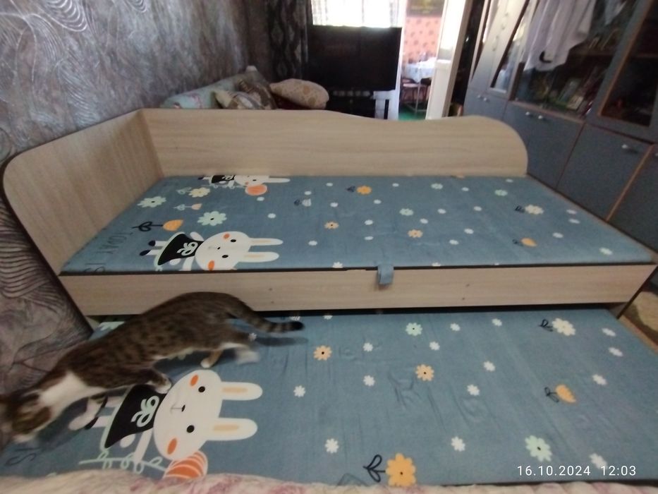 Тахта   мало спали,лежали стояла