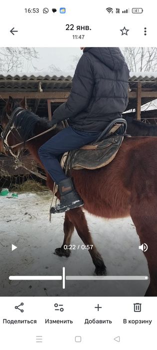 Дөнен шығар сатылады