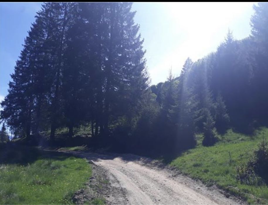 Teren intravilan Poiana Brasov