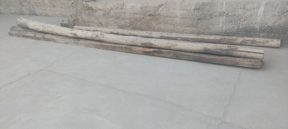 Сотилади 2та сосна 1 та терак 7метрдан