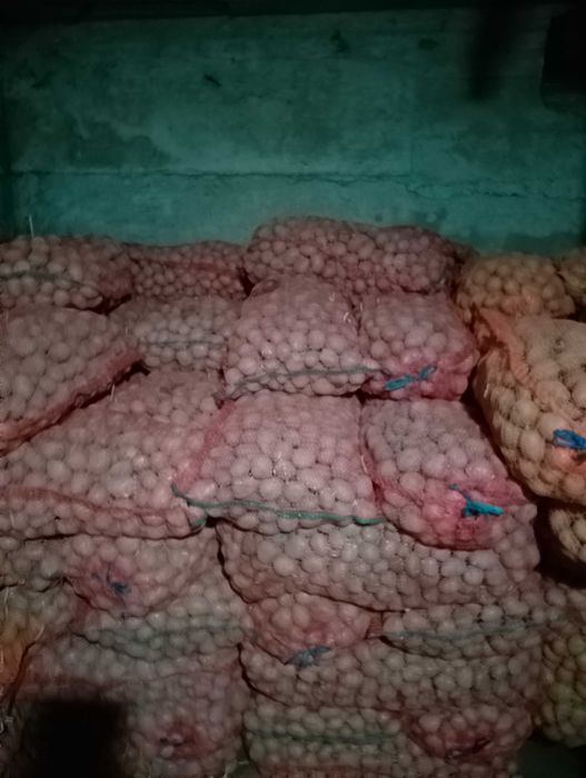 Ceapa cartofi consum sí samanta