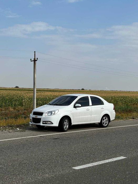 Nexia 3-2 поз 2018-19