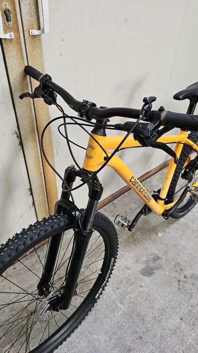 29" cannondele trail