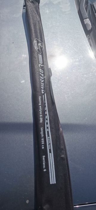 Bologneză  baracuda 6m