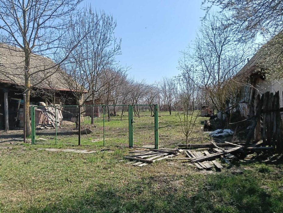 Casă/teren în Semlacul Mare jud. Timiș