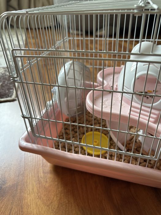 Продам хомяка с клеткой