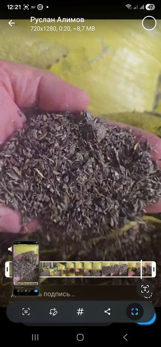 Семечки шрот  Казахстан, продажа Ташкент