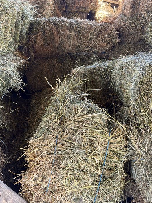 Vand baloti de lucerna