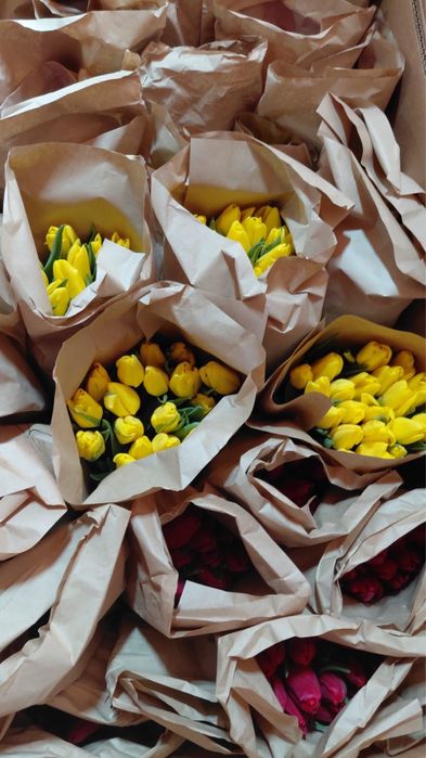 Тюльпаны есть в наличий