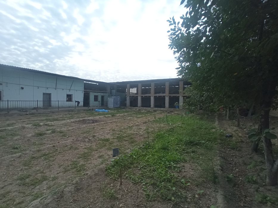 Yangi xayot gulzorda yer sotilad srochniyi 4 sotix 14 000$ mingdan 1 s