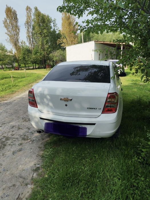 Other Cobalt 2020 — 3