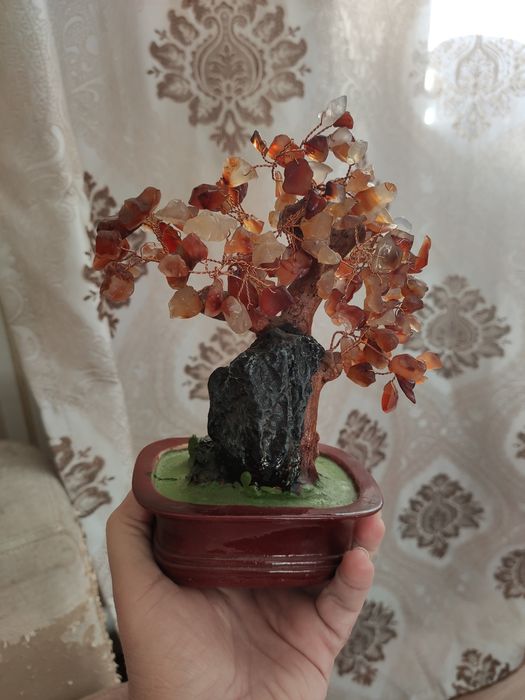 Продам сувенир денежное дерево