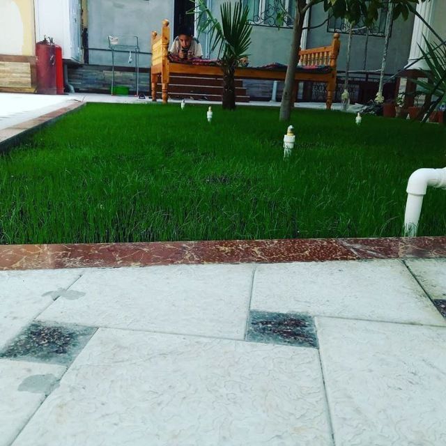 Газон екиш хизмати